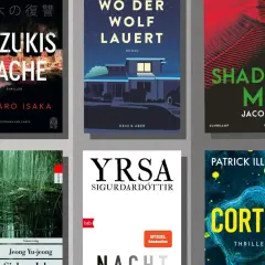 Sechs Buchcover, darunter "Suzukis Rache" und "Cortex", die zu einer buch thriller top 10 gehören könnten.