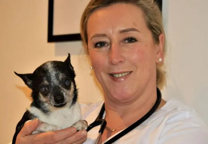 Tierärztin Stephanie Petersen hält einen kleinen Hund.