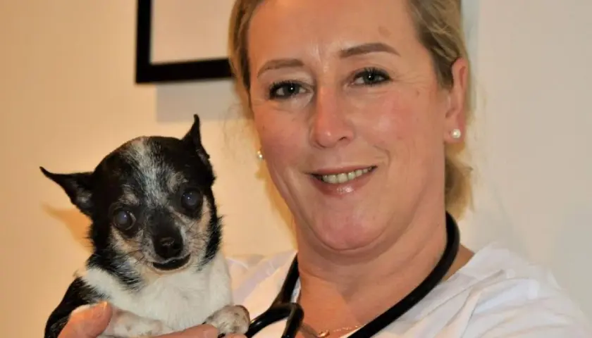 Tierärztin Stephanie Petersen hält einen kleinen Hund.