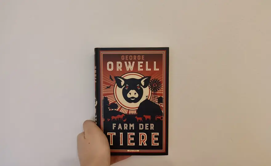 Welches Buch sollte jeder gelesen haben? – Die ehrliche Antwort