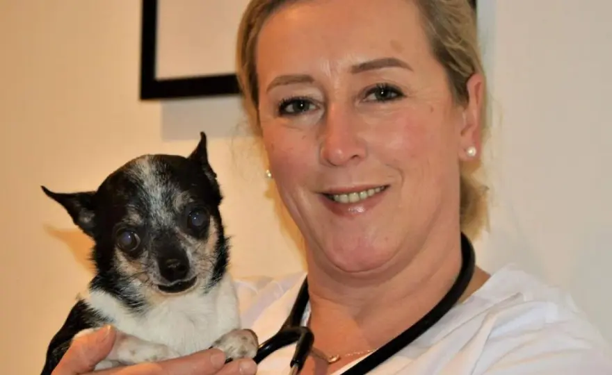 Stephanie Petersen - Sylt, Tierärztin, Autorin: Wer ist sie?