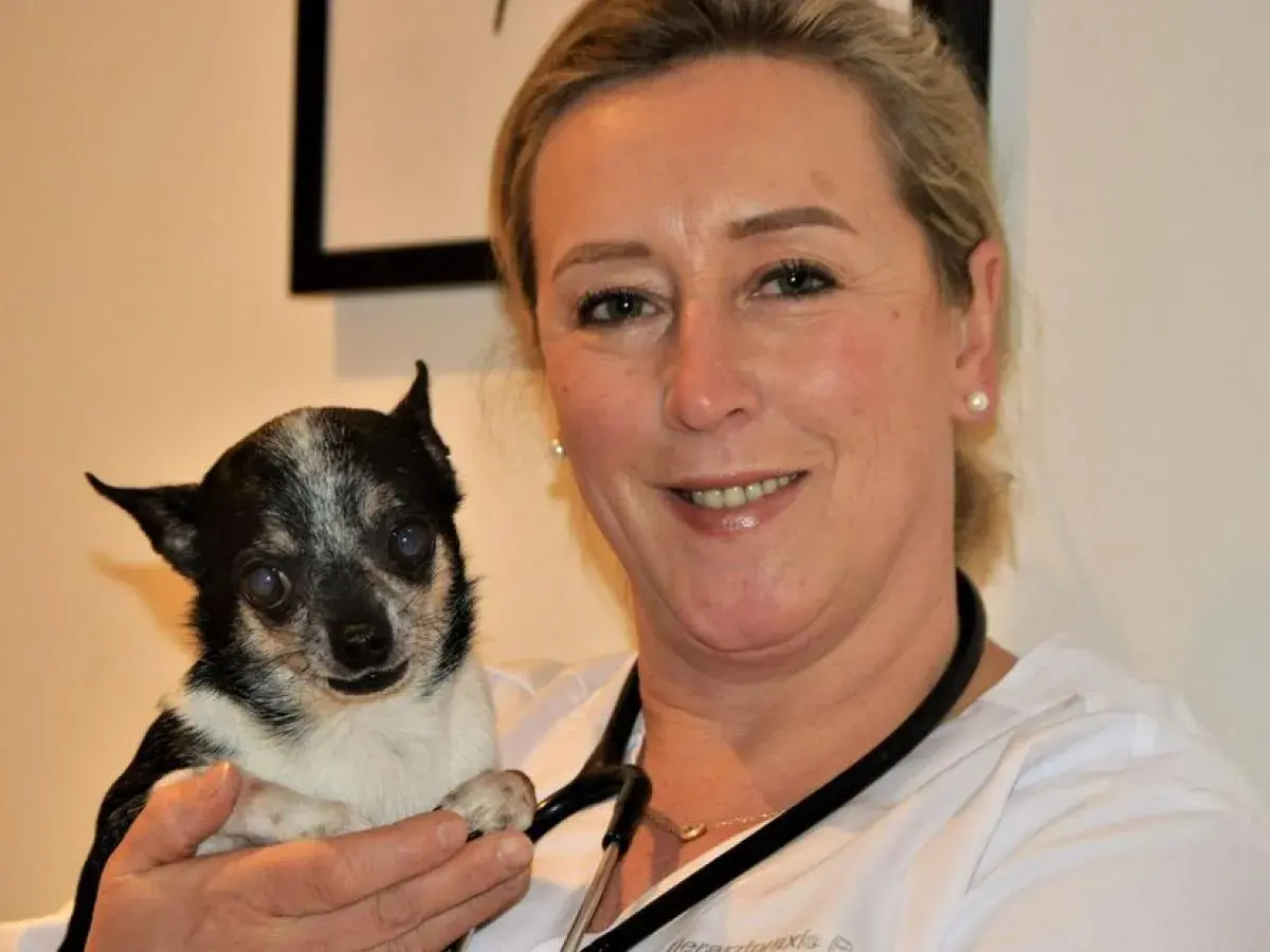 Tierärztin Stephanie Petersen hält einen kleinen Hund.